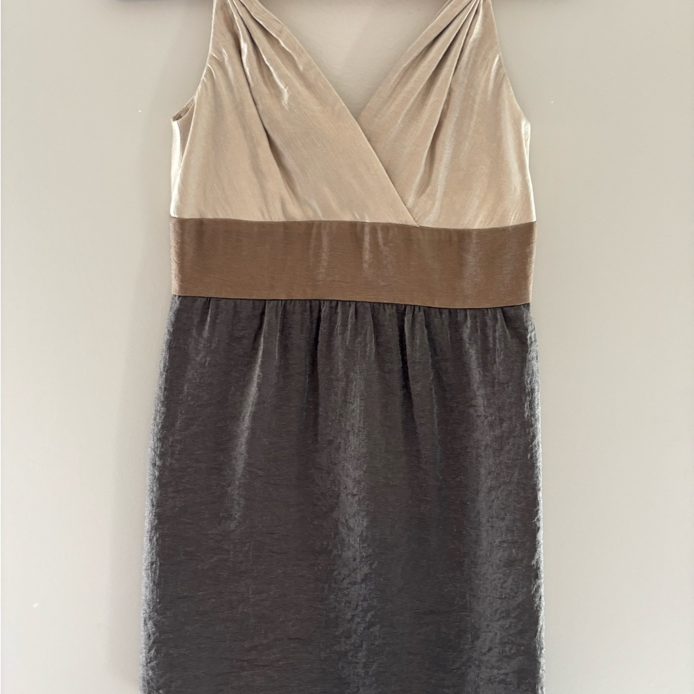 Adrianna Papell Cream and Brown Mini Dress